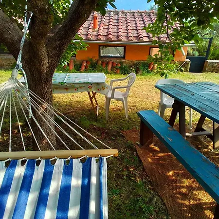 Poderino La Noce Vinci