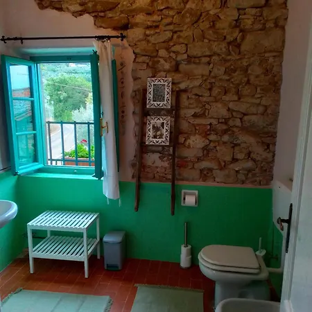 Poderino La Noce * Vinci