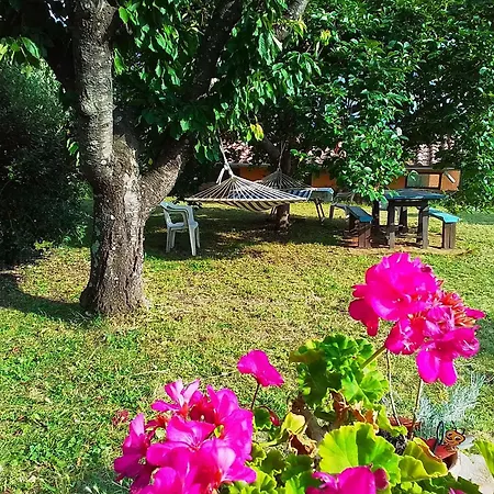 Poderino La Noce Guest house