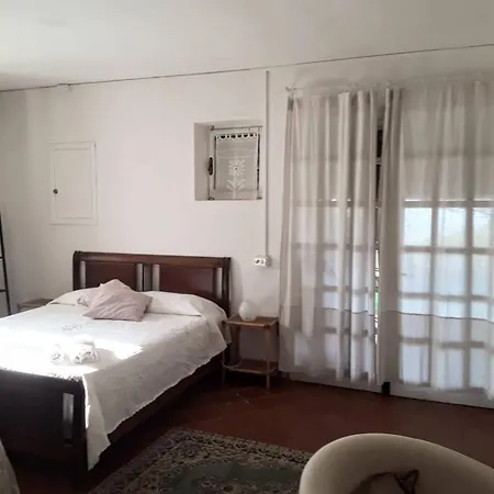 Guest house Poderino La Noce Vinci