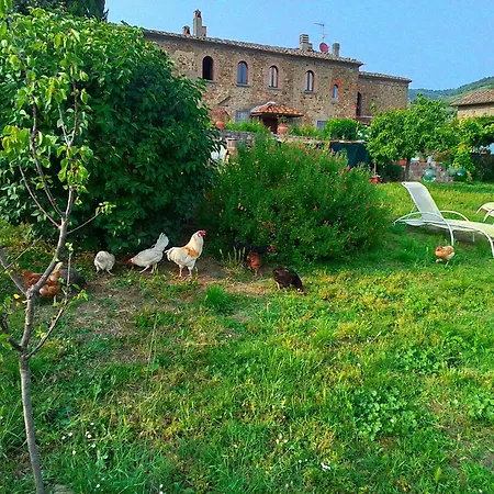 Poderino La Noce Vinci
