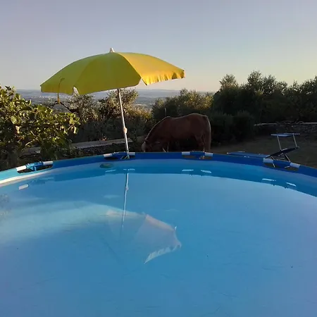 Casa vacanze Poderino La Noce Vinci