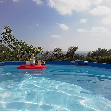 Poderino La Noce Vinci