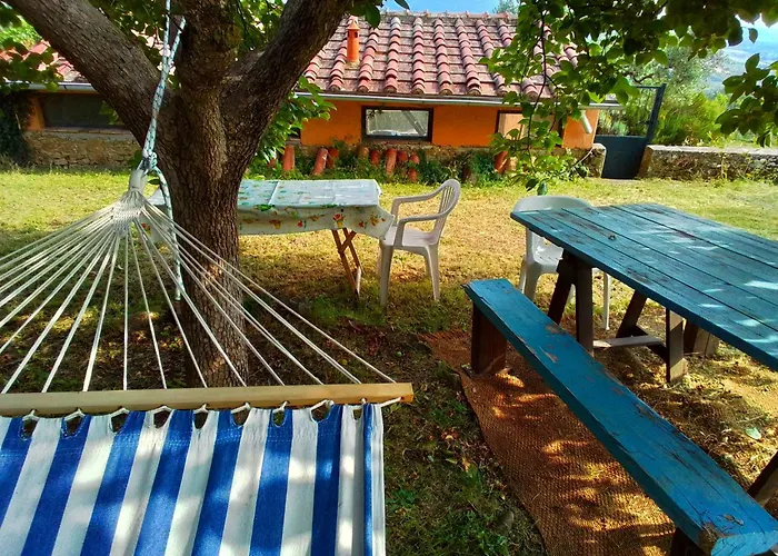 Poderino La Noce Vinci