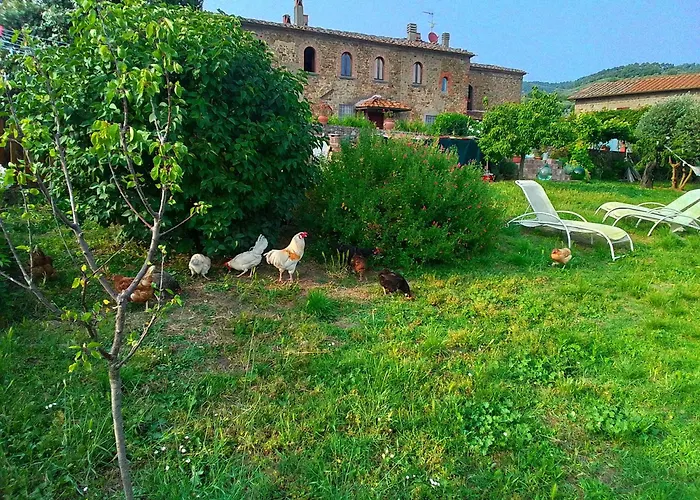 Poderino La Noce Vinci