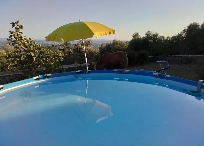 Ferienhaus Poderino La Noce Vinci